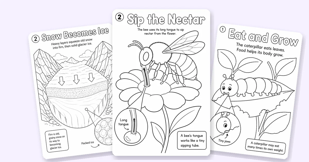 Three educational coloring pages that teach step by step: how snow becomes glacier ice, how a bee sips nectar, and a caterpillar eating and growing