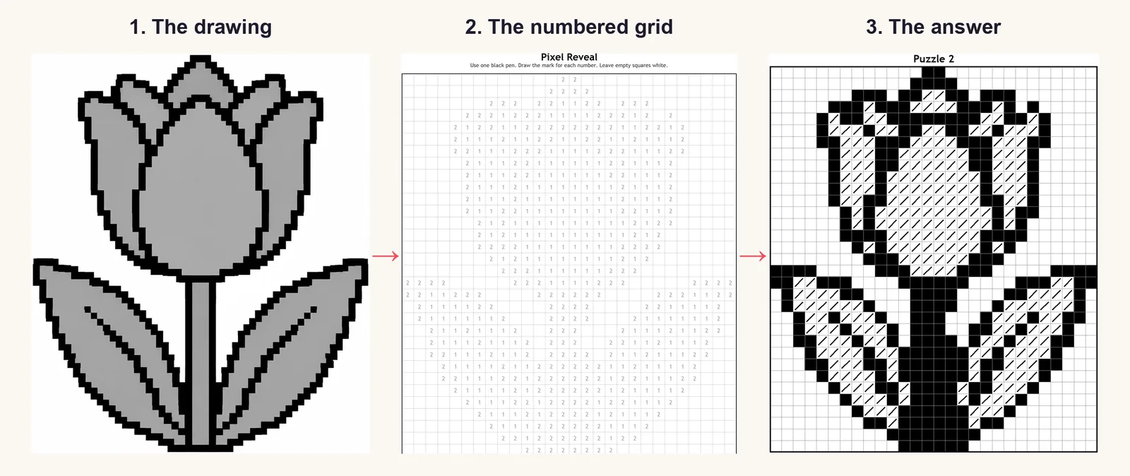 A tulip drawing, the numbered grid made from it, and the finished answer